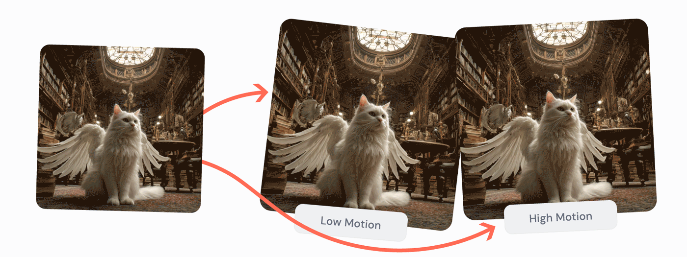 Video Extension